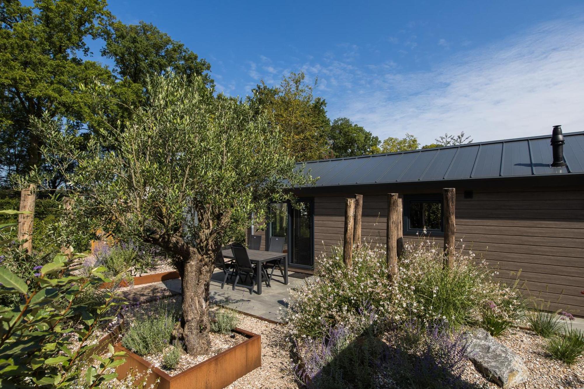 Modern Ingericht Chalet Op Groen Park Op De Veluwe Epe Dış mekan fotoğraf
