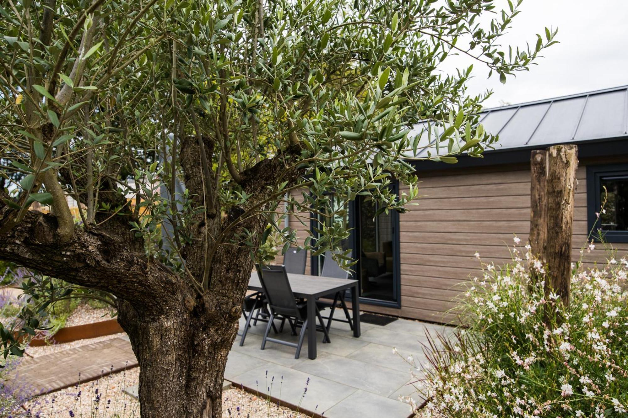 Modern Ingericht Chalet Op Groen Park Op De Veluwe Epe Dış mekan fotoğraf