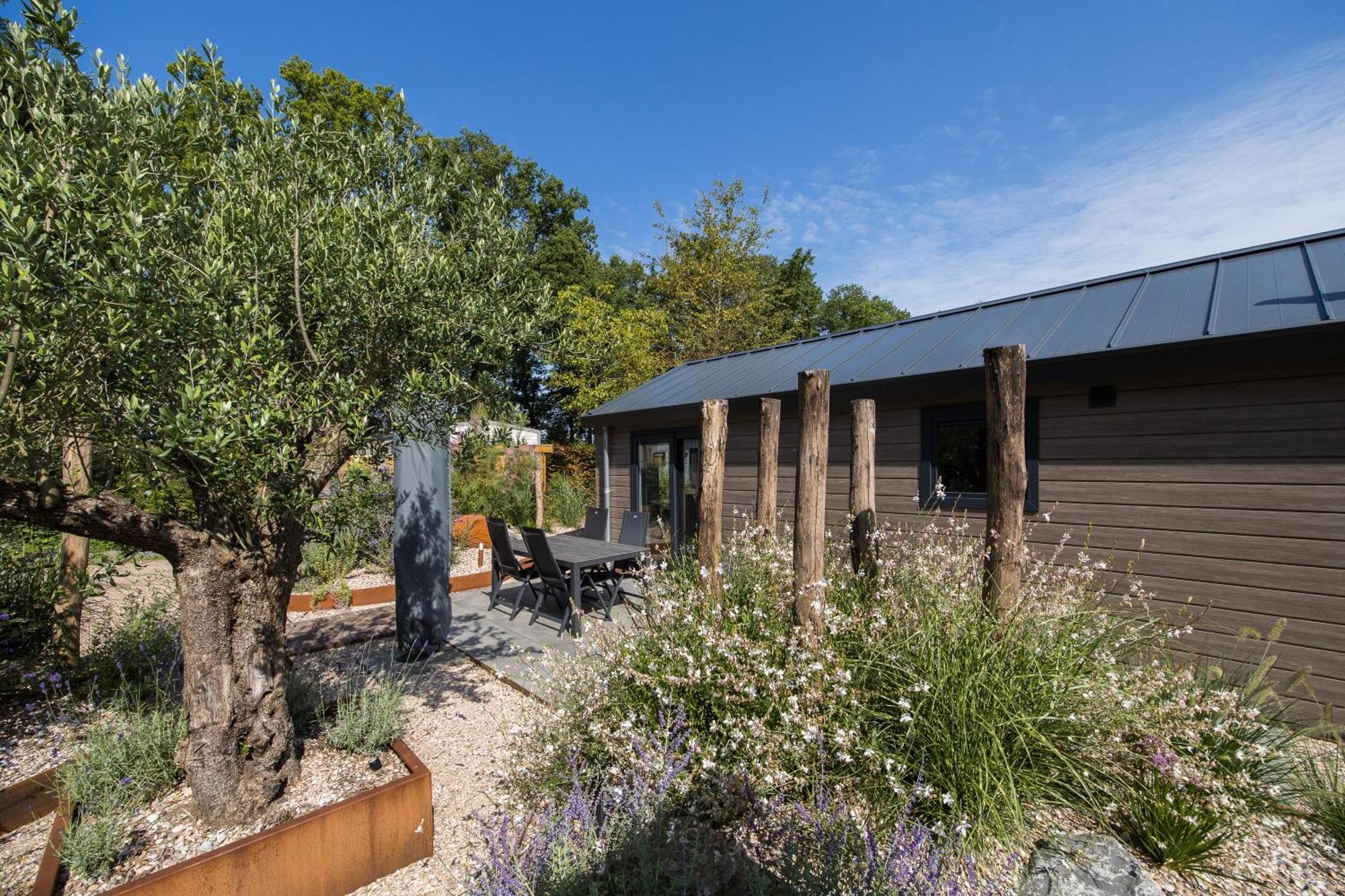 Modern Ingericht Chalet Op Groen Park Op De Veluwe Epe Dış mekan fotoğraf