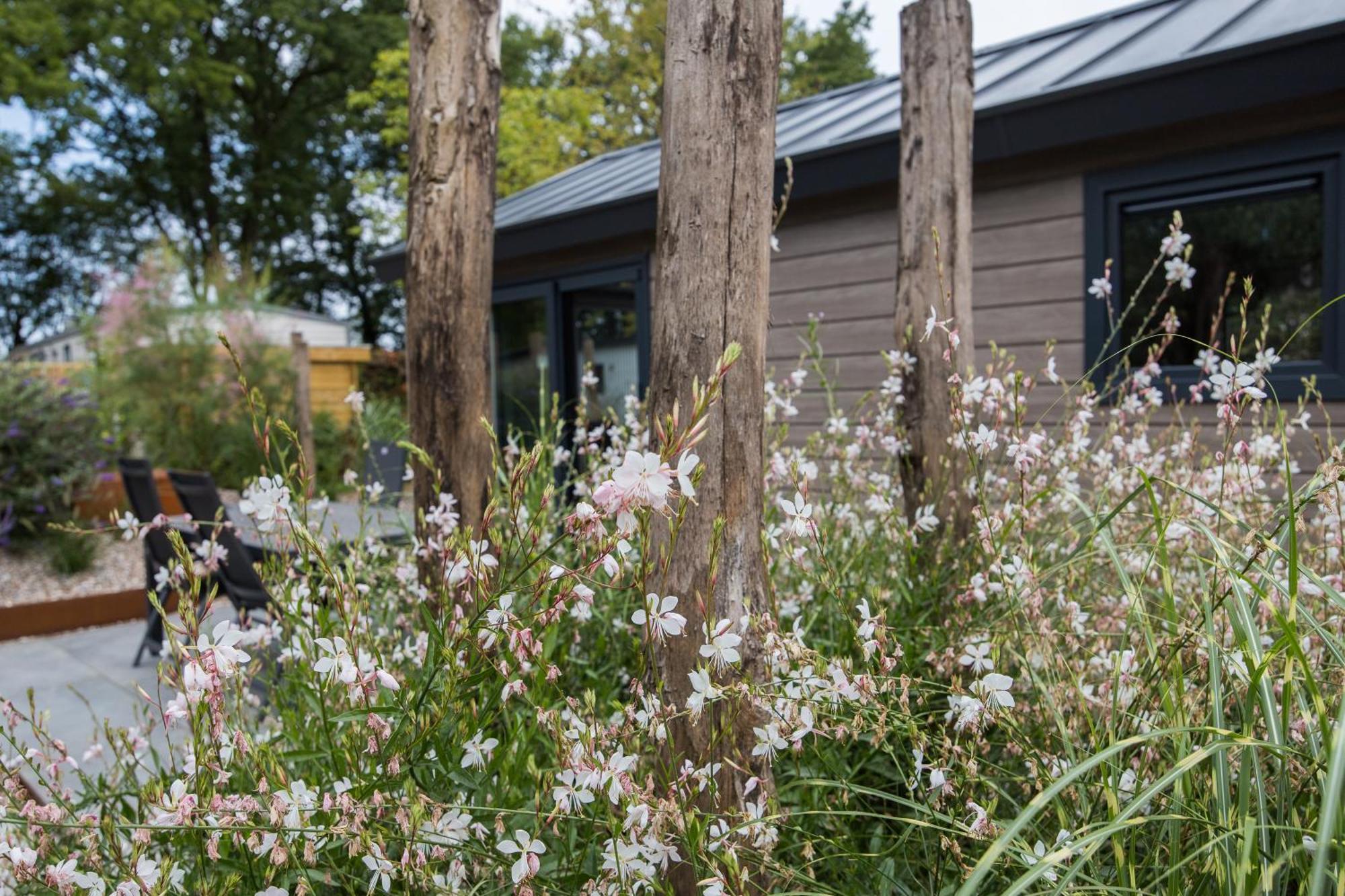 Modern Ingericht Chalet Op Groen Park Op De Veluwe Epe Dış mekan fotoğraf